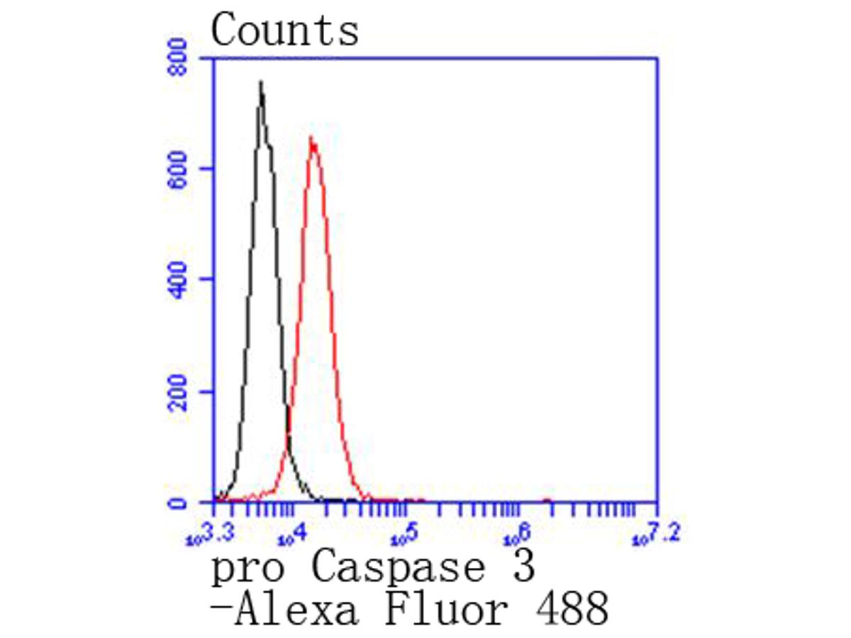 Flow cytometric analysis of pro Caspase-3 was done on Jurkat cells. The cells were fixed, permeabilized and stained with the primary antibody (ET1603-26, 1/50) (red). After incubation of the primary antibody at room temperature for an hour, the cells were stained with a Alexa Fluor 488-conjugated Goat anti-Rabbit IgG Secondary antibody at 1/1000 dilution for 30 minutes.Unlabelled sample was used as a control (cells without incubation with primary antibody; black).