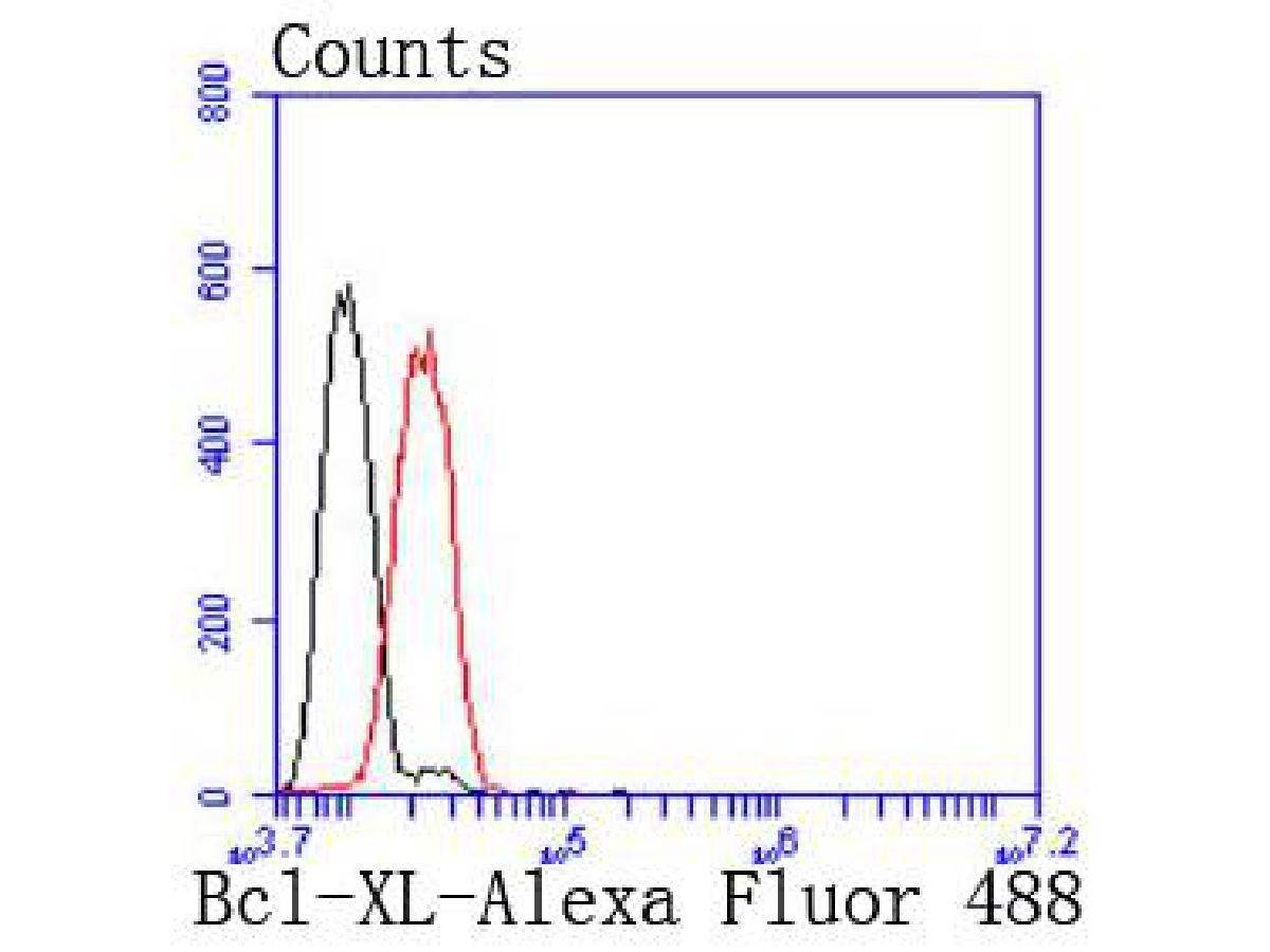 Flow cytometric analysis of Bcl-XL was done on Hela cells. The cells were fixed, permeabilized and stained with the primary antibody (ET1603-28, 1/50) (red). After incubation of the primary antibody at room temperature for an hour, the cells were stained with a Alexa Fluor 488-conjugated Goat anti-Rabbit IgG Secondary antibody at 1/1000 dilution for 30 minutes.Unlabelled sample was used as a control (cells without incubation with primary antibody; black).
