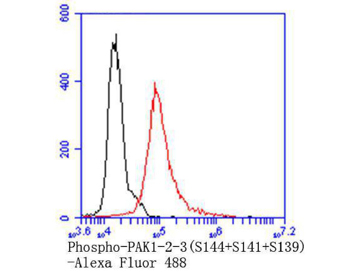 Flow cytometric analysis of Phospho-PAK1(S144)+PAK2(S141)+PAK3(S139) was done on NIH/3T3 cells. The cells were fixed, permeabilized and stained with the primary antibody (ET1608-58, 1/50) (red). After incubation of the primary antibody at room temperature for an hour, the cells were stained with a Alexa Fluor 488-conjugated Goat anti-Rabbit IgG Secondary antibody at 1/1,000 dilution for 30 minutes.Unlabelled sample was used as a control (cells without incubation with primary antibody; black).