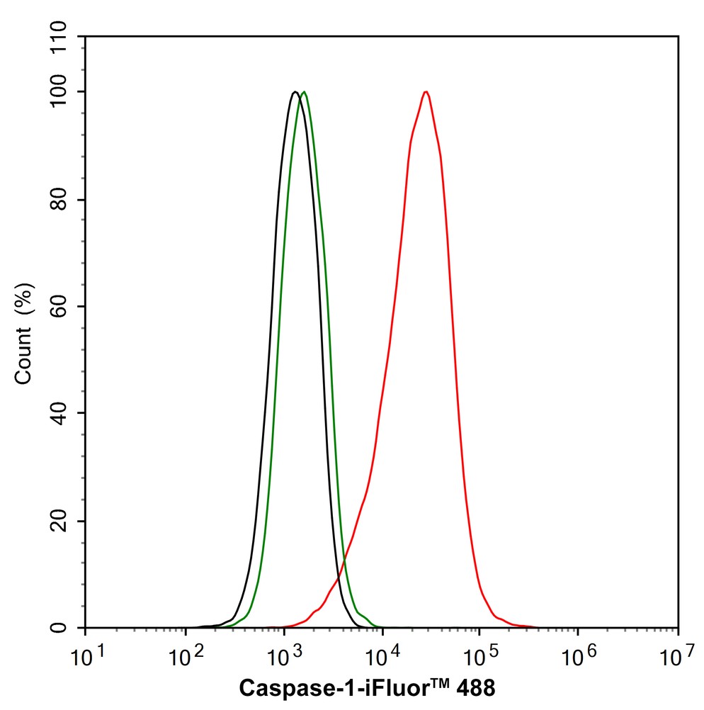 Flow cytometric analysis of Caspase-1 was done on Hela cells. The cells were fixed, permeabilized and stained with the primary antibody (ET1608-69, 1/50) (red). After incubation of the primary antibody at room temperature for an hour, the cells were stained with a Alexa Fluor 488-conjugated Goat anti-Rabbit IgG Secondary antibody at 1/1000 dilution for 30 minutes.Unlabelled sample was used as a control (cells without incubation with primary antibody; black).