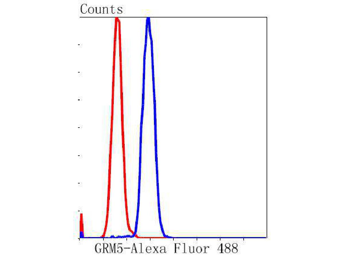 Flow cytometric analysis of Metabotropic glutamate receptor 5 was done on SH-SY5Y cells. The cells were fixed, permeabilized and stained with the primary antibody (ET1609-36, 1/50) (blue). After incubation of the primary antibody at room temperature for an hour, the cells were stained with a Alexa Fluor 488-conjugated Goat anti-Rabbit IgG Secondary antibody at 1/1000 dilution for 30 minutes.Unlabelled sample was used as a control (cells without incubation with primary antibody; red).