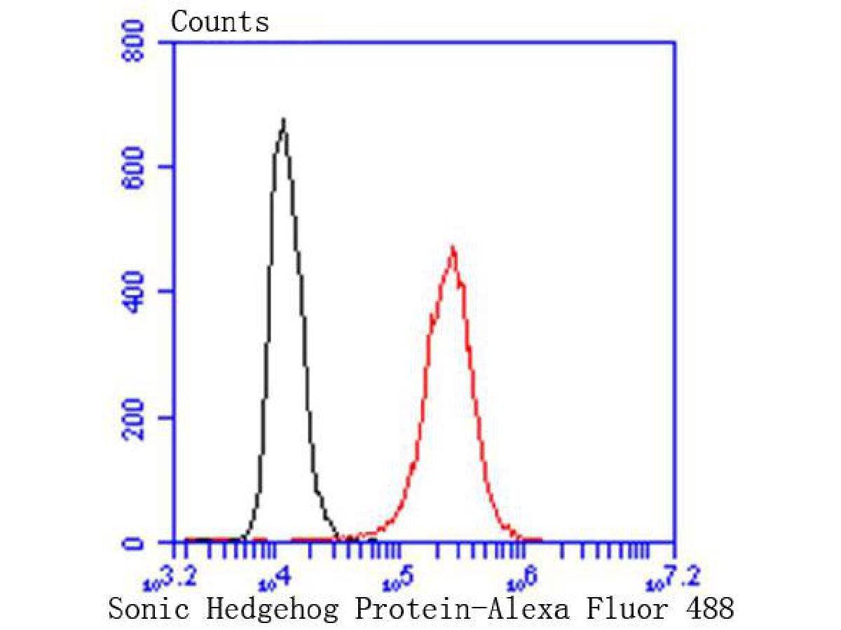 Flow cytometric analysis of Hela cells with Sonic Hedgehog Protein antibody at 1/50 dilution (red) compared with an unlabelled control (cells without incubation with primary antibody; black). Alexa Fluor 488-conjugated goat anti rabbit IgG was used as the secondary antibody.