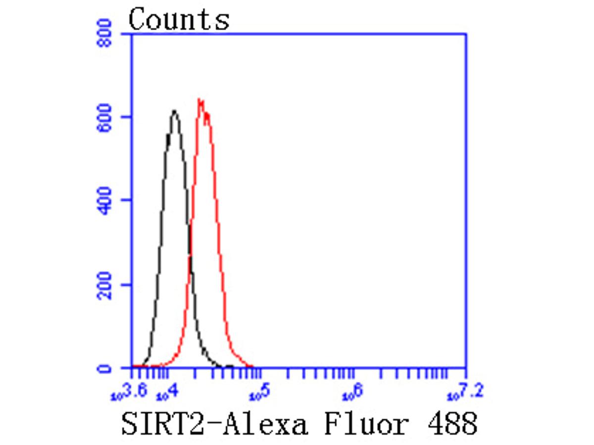 Flow cytometric analysis of SIRT2 was done on Hela cells. The cells were fixed, permeabilized and stained with the primary antibody (ET1611-72, 1/50) (red). After incubation of the primary antibody at room temperature for an hour, the cells were stained with a Alexa Fluor 488-conjugated Goat anti-Rabbit IgG Secondary antibody at 1/1000 dilution for 30 minutes.Unlabelled sample was used as a control (cells without incubation with primary antibody; black).