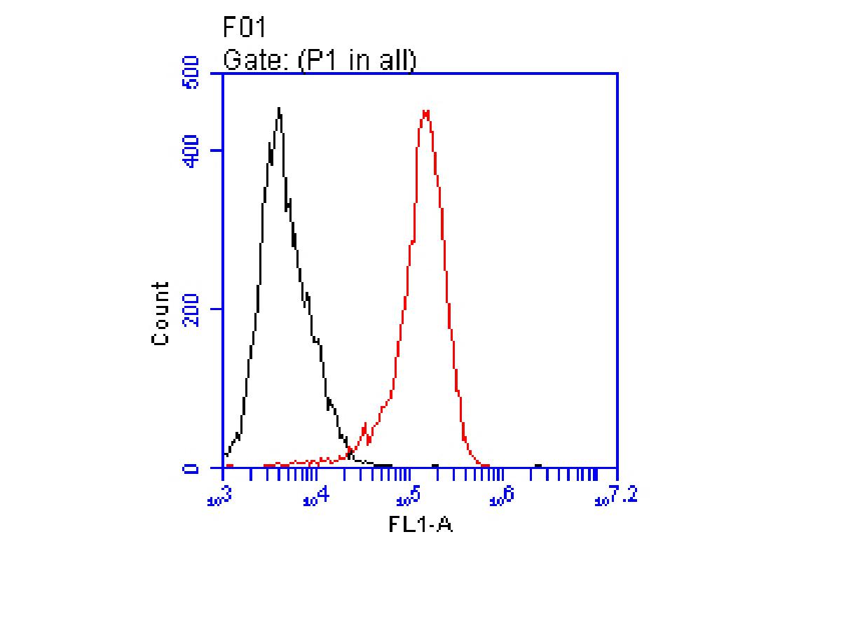 Flow cytometric analysis of CD3D was done on Jurkat cells. The cells were fixed, permeabilized and stained with the primary antibody (ET1701-57, 1/50) (red). After incubation of the primary antibody at room temperature for an hour, the cells were stained with a Alexa Fluor 488-conjugated Goat anti-Rabbit IgG Secondary antibody at 1/1000 dilution for 30 minutes.Unlabelled sample was used as a control (cells without incubation with primary antibody; black).