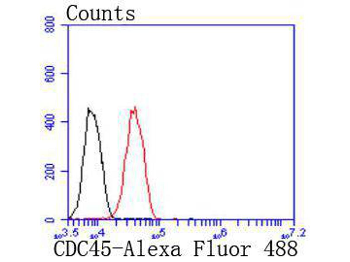 Flow cytometric analysis of 293 cells with CDC45 antibody at 1/50 dilution (red) compared with an unlabelled control (cells without incubation with primary antibody; black). Alexa Fluor 488-conjugated goat anti rabbit IgG was used as the secondary antibody.