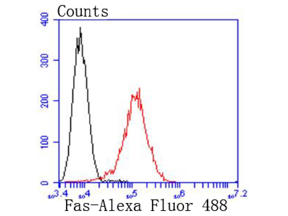 Flow cytometric analysis of Fas(CD95) was done on Raji cells. The cells were fixed, permeabilized and stained with the primary antibody (ET1701-92, 1/100) (red). After incubation of the primary antibody at room temperature for an hour, the cells were stained with a Alexa Fluor 488-conjugated goat anti-rabbit IgG Secondary antibody at 1/500 dilution for 30 minutes.Unlabelled sample was used as a control (cells without incubation with primary antibody; black).
