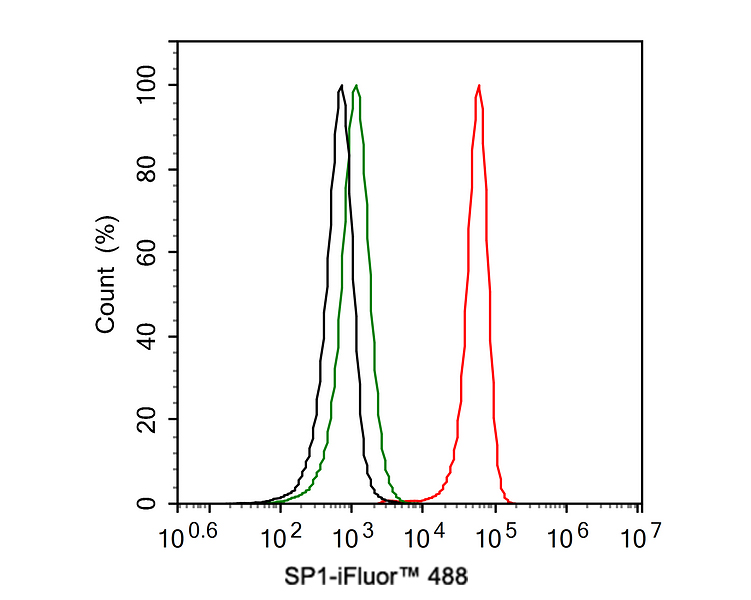 Flow cytometric analysis of MCF-7 cells labeling SP1.<br />
<br />
Cells were fixed and permeabilized. Then stained with the primary antibody (ET1702-02, 1ug/ml) (red) compared with Rabbit IgG Isotype Control (green). After incubation of the primary antibody at +4℃ for an hour, the cells were stained with a iFluor™ 488 conjugate-Goat anti-Rabbit IgG Secondary antibody (HA1121) at 1/1,000 dilution for 30 minutes at +4℃. Unlabelled sample was used as a control (cells without incubation with primary antibody; black).