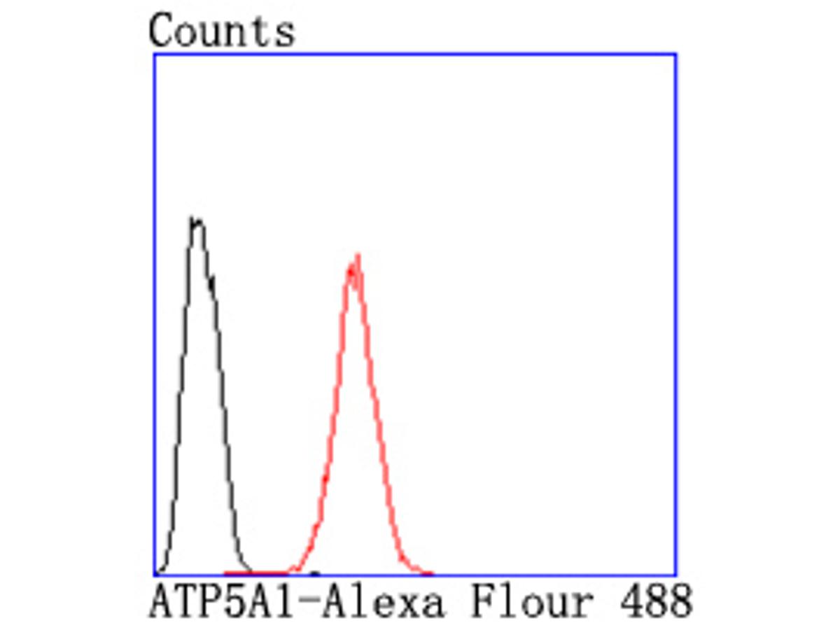Flow cytometric analysis of ATP5A1 was done on Hela cells. The cells were fixed, permeabilized and stained with the primary antibody (ET1703-53, 1/50) (red). After incubation of the primary antibody at room temperature for an hour, the cells were stained with a Alexa Fluor 488-conjugated Goat anti-Rabbit IgG Secondary antibody at 1/1000 dilution for 30 minutes.Unlabelled sample was used as a control (cells without incubation with primary antibody; black).