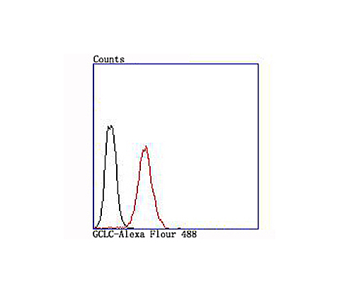 Flow cytometric analysis of GCLC was done on Jurkat cells. The cells were fixed, permeabilized and stained with the primary antibody (ET1704-38, 1/50) (red). After incubation of the primary antibody at room temperature for an hour, the cells were stained with a Alexa Fluor®488 conjugate-Goat anti-Rabbit IgG Secondary antibody at 1/1,000 dilution for 30 minutes.Unlabelled sample was used as a control (cells without incubation with primary antibody; black).