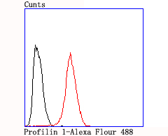 Flow cytometric analysis of Profilin 1 was done on Hela cells. The cells were fixed, permeabilized and stained with the primary antibody (ET1704-42, 1/50) (red). After incubation of the primary antibody at room temperature for an hour, the cells were stained with a Alexa Fluor®488 conjugate-Goat anti-Rabbit IgG Secondary antibody at 1/1,000 dilution for 30 minutes.Unlabelled sample was used as a control (cells without incubation with primary antibody; black).