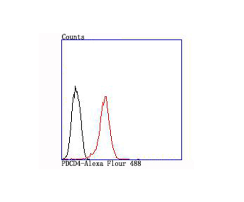 Flow cytometric analysis of MCF-7 cells with PDCD4 antibody at 1/100 dilution (red) compared with an unlabelled control (cells without incubation with primary antibody; black).