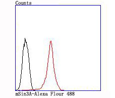 Flow cytometric analysis of mSin3A was done on MCF-7 cells. The cells were fixed, permeabilized and stained with the primary antibody (ET1704-91, 1/50) (red). After incubation of the primary antibody at room temperature for an hour, the cells were stained with a Alexa Fluor®488 conjugate-Goat anti-Rabbit IgG Secondary antibody at 1/1,000 dilution for 30 minutes.Unlabelled sample was used as a control (cells without incubation with primary antibody; black).