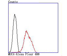 Flow cytometric analysis of MUC4 was done on A549 cells. The cells were fixed, permeabilized and stained with the primary antibody (ET1705-13, 1/50) (red). After incubation of the primary antibody at room temperature for an hour, the cells were stained with a Alexa Fluor®488 conjugate-Goat anti-Rabbit IgG Secondary antibody at 1/1,000 dilution for 30 minutes.Unlabelled sample was used as a control (cells without incubation with primary antibody; black).