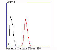 Flow cytometric analysis of Dynamin 2 was done on Hela cells. The cells were fixed, permeabilized and stained with the primary antibody (ET1705-2, 1/50) (red). After incubation of the primary antibody at room temperature for an hour, the cells were stained with a Alexa Fluor®488 conjugate-Goat anti-Rabbit IgG Secondary antibody at 1/1,000 dilution for 30 minutes.Unlabelled sample was used as a control (cells without incubation with primary antibody; black).