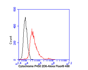Flow cytometric analysis of Cytochrome P450 2D6 was done on SW480 cells. The cells were fixed, permeabilized and stained with the primary antibody (ET1705-28, 1/50) (red). After incubation of the primary antibody at room temperature for an hour, the cells were stained with a Alexa Fluor®488 conjugate-Goat anti-Rabbit IgG Secondary antibody at 1/1,000 dilution for 30 minutes.Unlabelled sample was used as a control (cells without incubation with primary antibody; black).