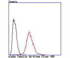 Flow cytometric analysis of alpha Tubulin 4A was done on Hela cells. The cells were fixed, permeabilized and stained with the primary antibody (ET1705-31, 1/50) (red). After incubation of the primary antibody at room temperature for an hour, the cells were stained with a Alexa Fluor 488-conjugated Goat anti-Rabbit IgG Secondary antibody at 1/1,000 dilution for 30 minutes.Unlabelled sample was used as a control (cells without incubation with primary antibody; black).