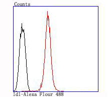 Flow cytometric analysis of HepG2 cells with Id1 antibody at 1/100 dilution (red) compared with an unlabelled control (cells without incubation with primary antibody; black).