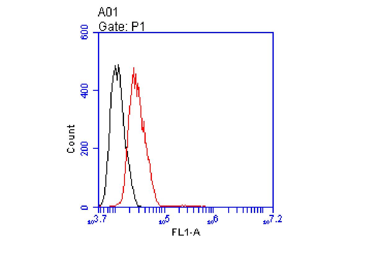 Flow cytometric analysis of MCF-7 cells with ENO1 antibody at 1/100 dilution (red) compared with an unlabelled control (cells without incubation with primary antibody; black).