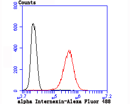 Flow cytometric analysis of alpha Internexin was done on N2A cells. The cells were fixed, permeabilized and stained with the primary antibody (ET1706-23, 1/50) (red). After incubation of the primary antibody at room temperature for an hour, the cells were stained with a Alexa Fluor 488-conjugated Goat anti-Rabbit IgG Secondary antibody at 1/1000 dilution for 30 minutes.Unlabelled sample was used as a control (cells without incubation with primary antibody; black).