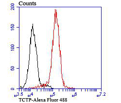 Flow cytometric analysis of TCTP was done on THP-1 cells. The cells were fixed, permeabilized and stained with the primary antibody (ET1706-48, 1/50) (red). After incubation of the primary antibody at room temperature for an hour, the cells were stained with a Alexa Fluor 488-conjugated Goat anti-Rabbit IgG Secondary antibody at 1/1000 dilution for 30 minutes.Unlabelled sample was used as a control (cells without incubation with primary antibody; black).
