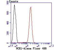 Flow cytometric analysis of NCK1 was done on Jurkat cells. The cells were fixed, permeabilized and stained with the primary antibody (ET7106-57, 1/50) (red). After incubation of the primary antibody at room temperature for an hour, the cells were stained with a Alexa Fluor®488 conjugate-Goat anti-Rabbit IgG Secondary antibody at 1/1,000 dilution for 30 minutes.Unlabelled sample was used as a control (cells without incubation with primary antibody; black).