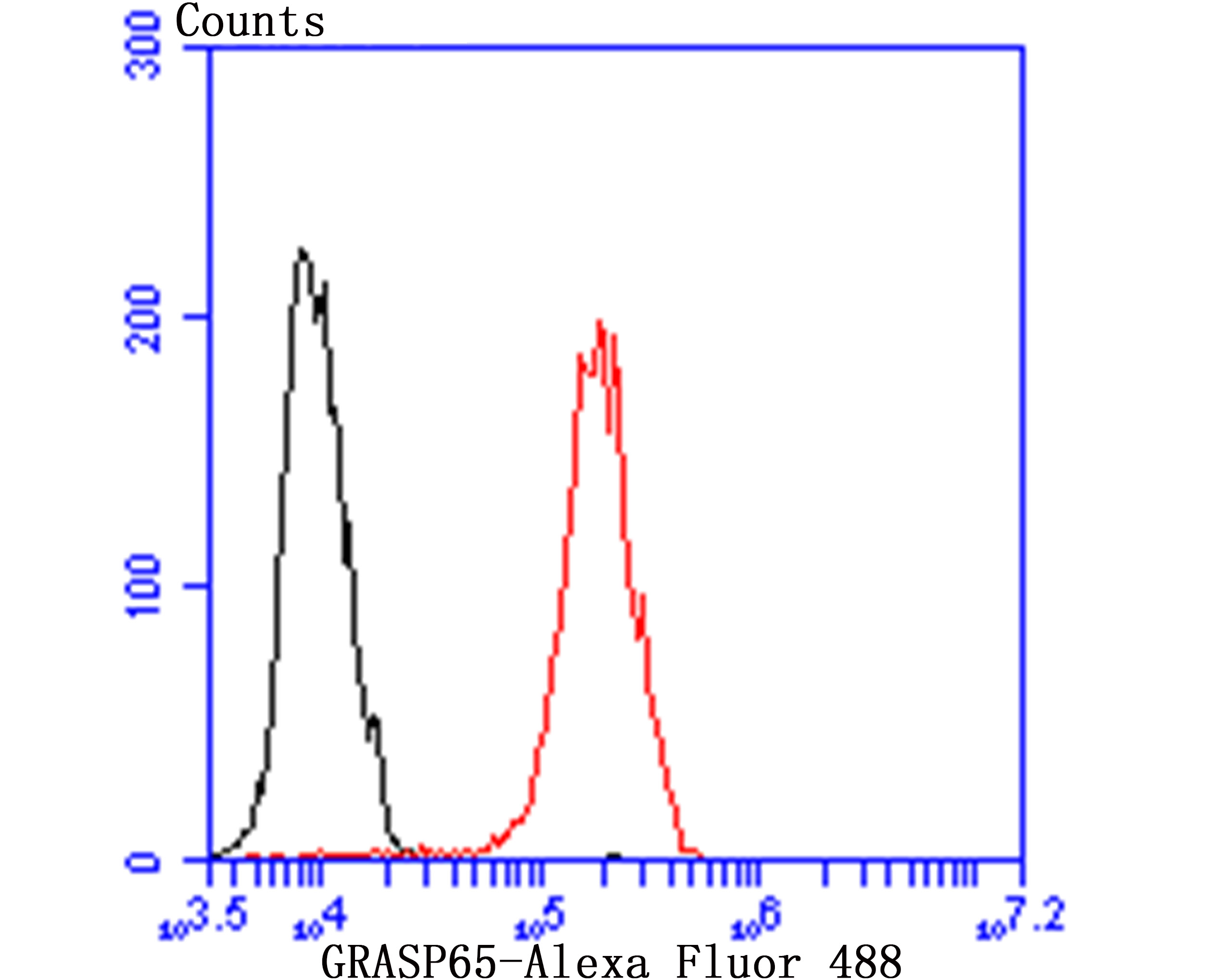 Flow cytometric analysis of GRASP65 was done on MCF-7 cells. The cells were fixed, permeabilized and stained with the primary antibody (ET7107-13, 1/50) (red). After incubation of the primary antibody at room temperature for an hour, the cells were stained with a Alexa Fluor®488 conjugate-Goat anti-Rabbit IgG Secondary antibody at 1/1,000 dilution for 30 minutes.Unlabelled sample was used as a control (cells without incubation with primary antibody; black).