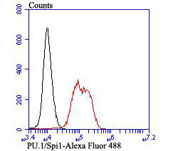 Flow cytometric analysis of PU.1/Spi1 was done on K562 cells. The cells were fixed, permeabilized and stained with the primary antibody (ET7107-49, 1/50) (red). After incubation of the primary antibody at room temperature for an hour, the cells were stained with a Alexa Fluor 488-conjugated Goat anti-Rabbit IgG Secondary antibody at 1/1,000 dilution for 30 minutes.Unlabelled sample was used as a control (cells without incubation with primary antibody; black).