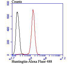 Flow cytometric analysis of Huntingtin was done on SH-SY5Y cells. The cells were fixed, permeabilized and stained with the primary antibody (ET7107-60, 1/50) (red). After incubation of the primary antibody at room temperature for an hour, the cells were stained with a Alexa Fluor®488 conjugate-Goat anti-Rabbit IgG Secondary antibody at 1/1,000 dilution for 30 minutes.Unlabelled sample was used as a control (cells without incubation with primary antibody; black).