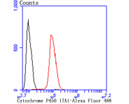 Flow cytometric analysis of SH-SY5Y cells with Cytochrome P450 17A1 antibody at 1/100 dilution (red) compared with an unlabelled control (cells without incubation with primary antibody; black). Alexa Fluor 488-conjugated goat anti-rabbit IgG was used as the secondary antibody.