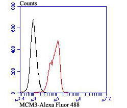 Flow cytometric analysis of K562 cells with MCM3 antibody at 1/100 dilution (red) compared with an unlabelled control (cells without incubation with primary antibody; black). Alexa Fluor 488-conjugated goat anti-rabbit IgG was used as the secondary antibody.