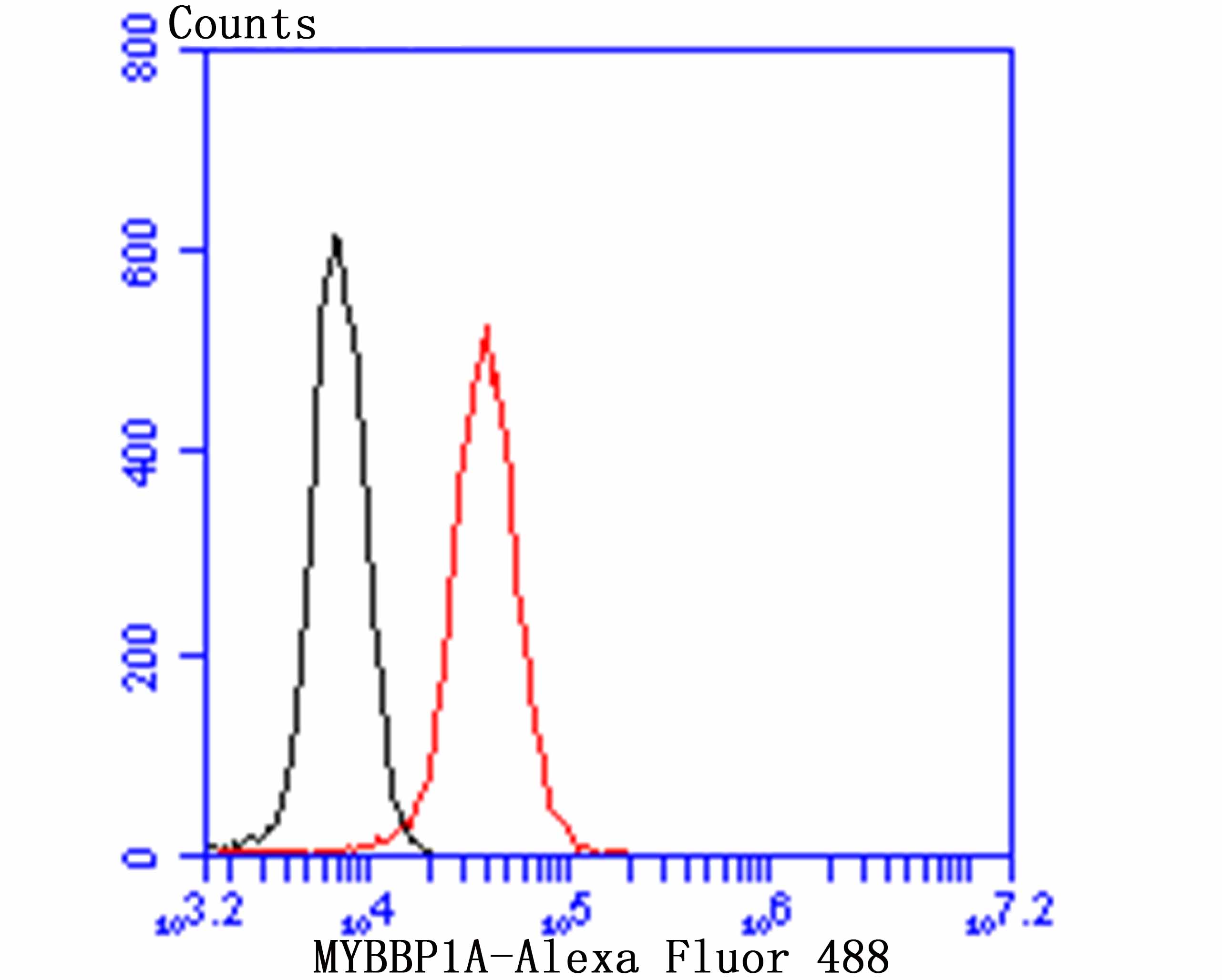 Flow cytometric analysis of 293T cells with MYBBP1A antibody at 1/50 dilution (red) compared with an unlabelled control (cells without incubation with primary antibody; black). Alexa Fluor 488-conjugated goat anti-rabbit IgG was used as the secondary antibody.