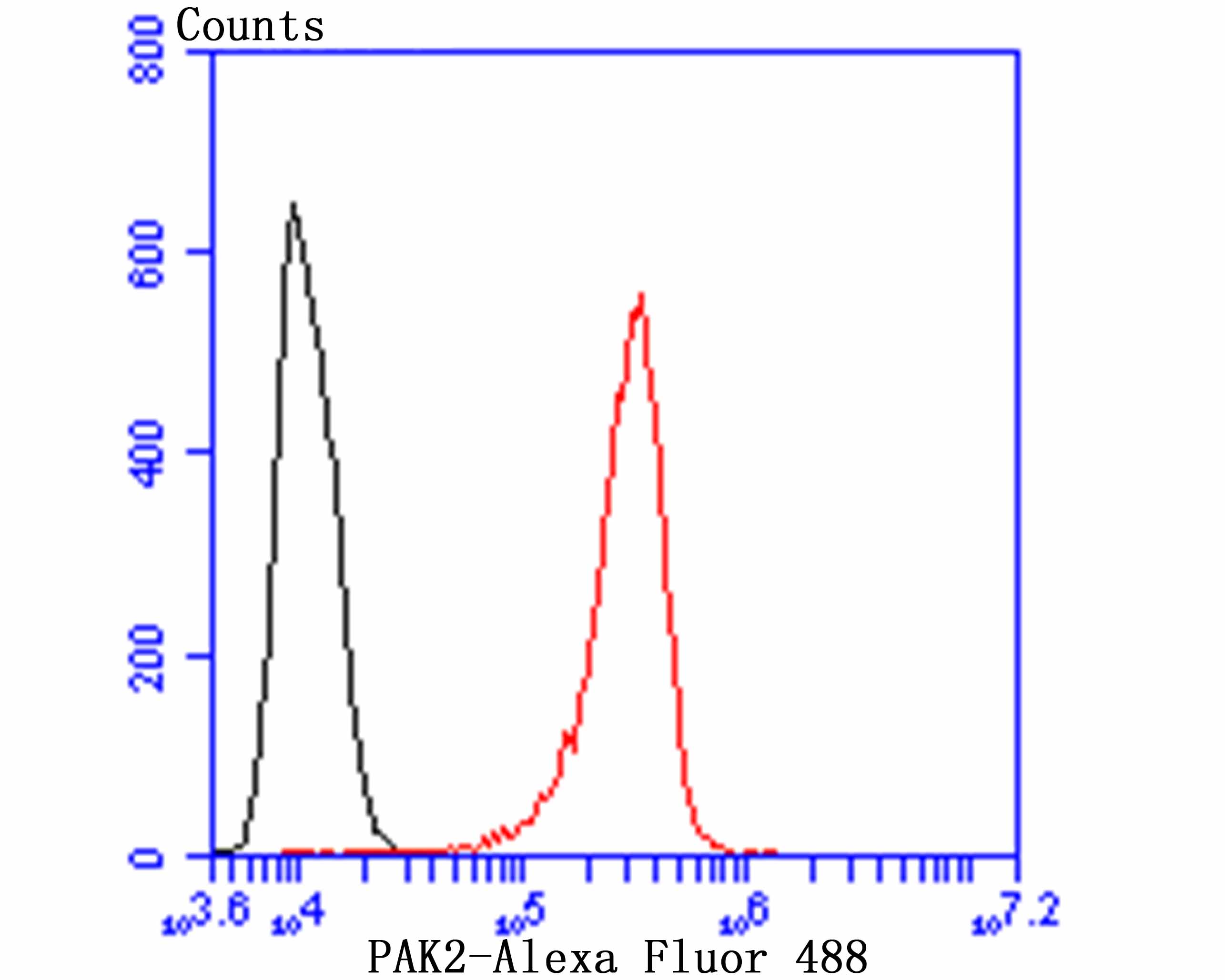 Flow cytometric analysis of A431 cells with  PAK2 antibody at 1/100 dilution (red) compared with an unlabelled control (cells without incubation with primary antibody; black). Alexa Fluor 488-conjugated goat anti rabbit IgG was used as the secondary antibody.