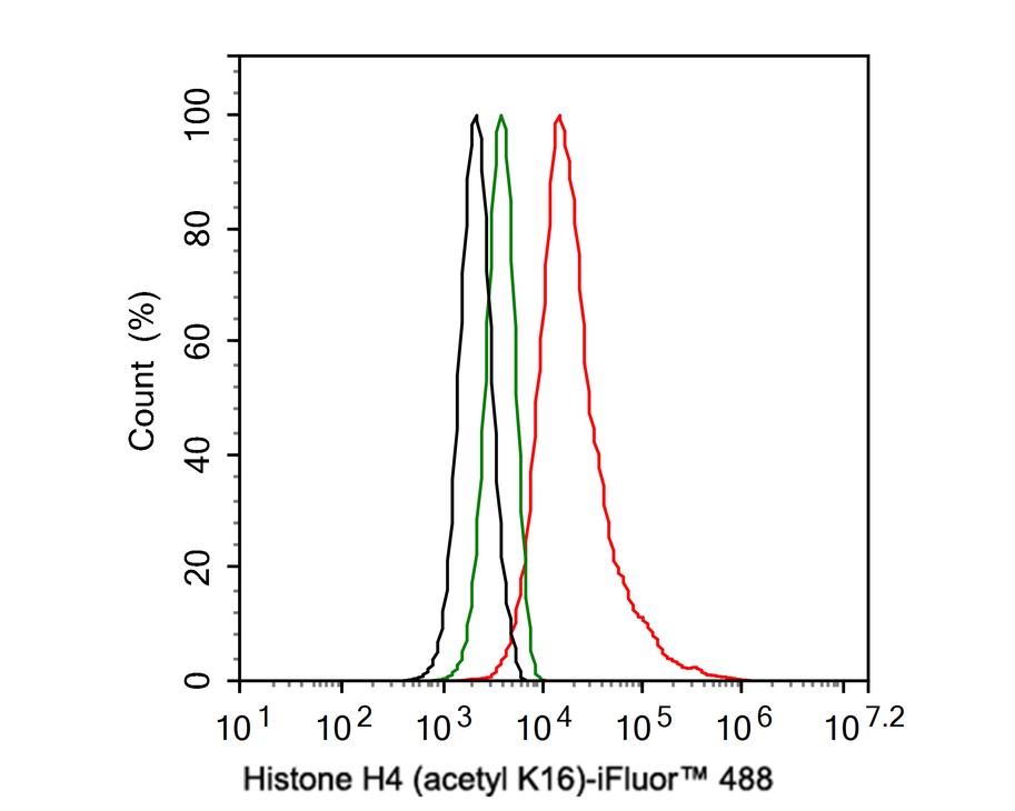 Flow cytometric analysis of Hela cells labeling Histone H4 (acetyl K16).<br />
<br />
Cells were fixed and permeabilized. Then stained with the primary antibody (ET7107-89, 1ug/ml) (red) compared with Rabbit IgG Isotype Control (green). After incubation of the primary antibody at +4℃ for an hour, the cells were stained with a iFluor™ 488 conjugate-Goat anti-Rabbit IgG Secondary antibody (HA1121) at 1/1,000 dilution for 30 minutes at +4℃. Unlabelled sample was used as a control (cells without incubation with primary antibody; black).