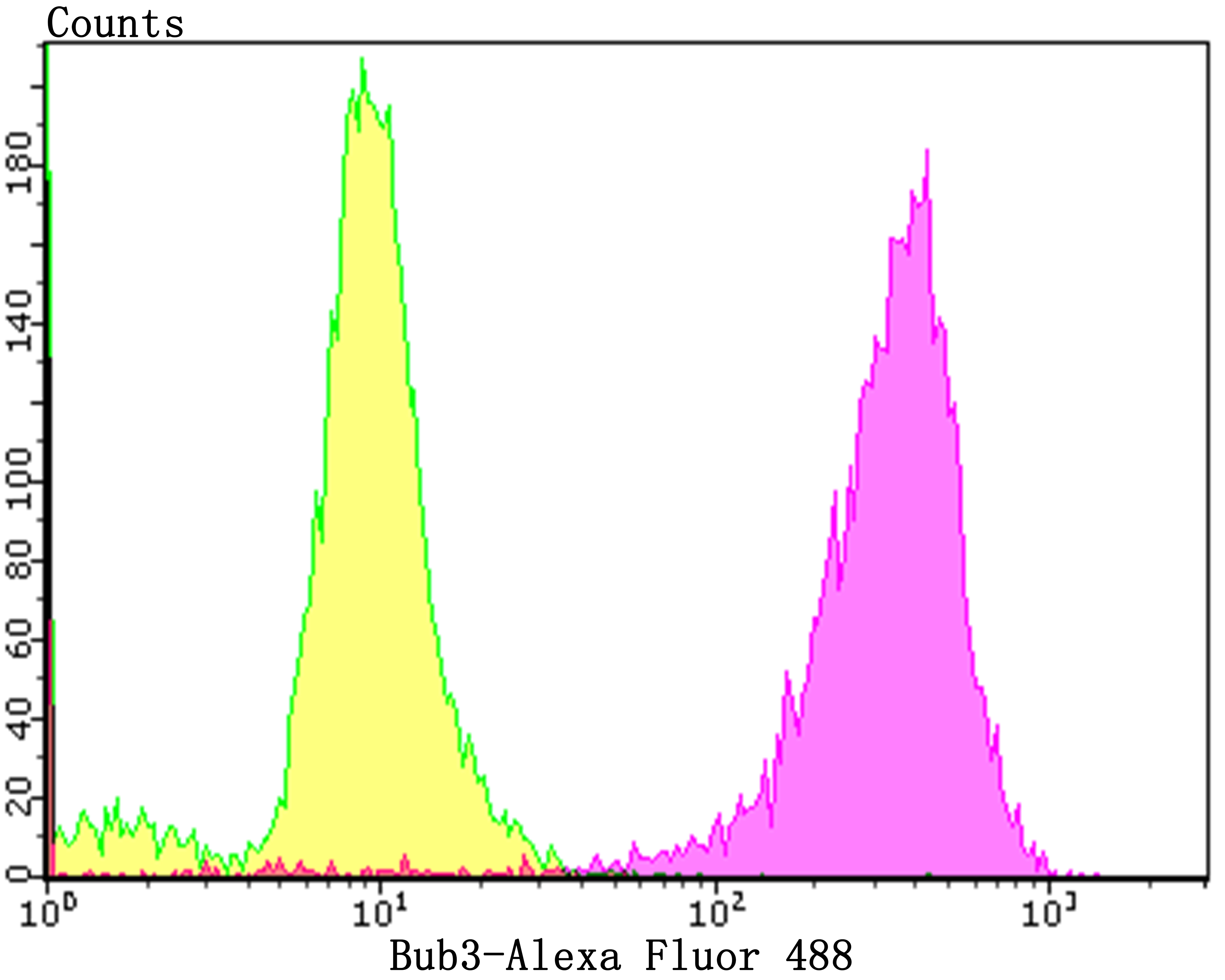 Flow cytometric analysis of PC-3M cells with Bub3 antibody at 1/100 dilution (purple) compared with an unlabelled control (cells without incubation with primary antibody; yellow).  Alexa Fluor 488-conjugated goat anti-rabbit IgG was used as the secondary antibody.