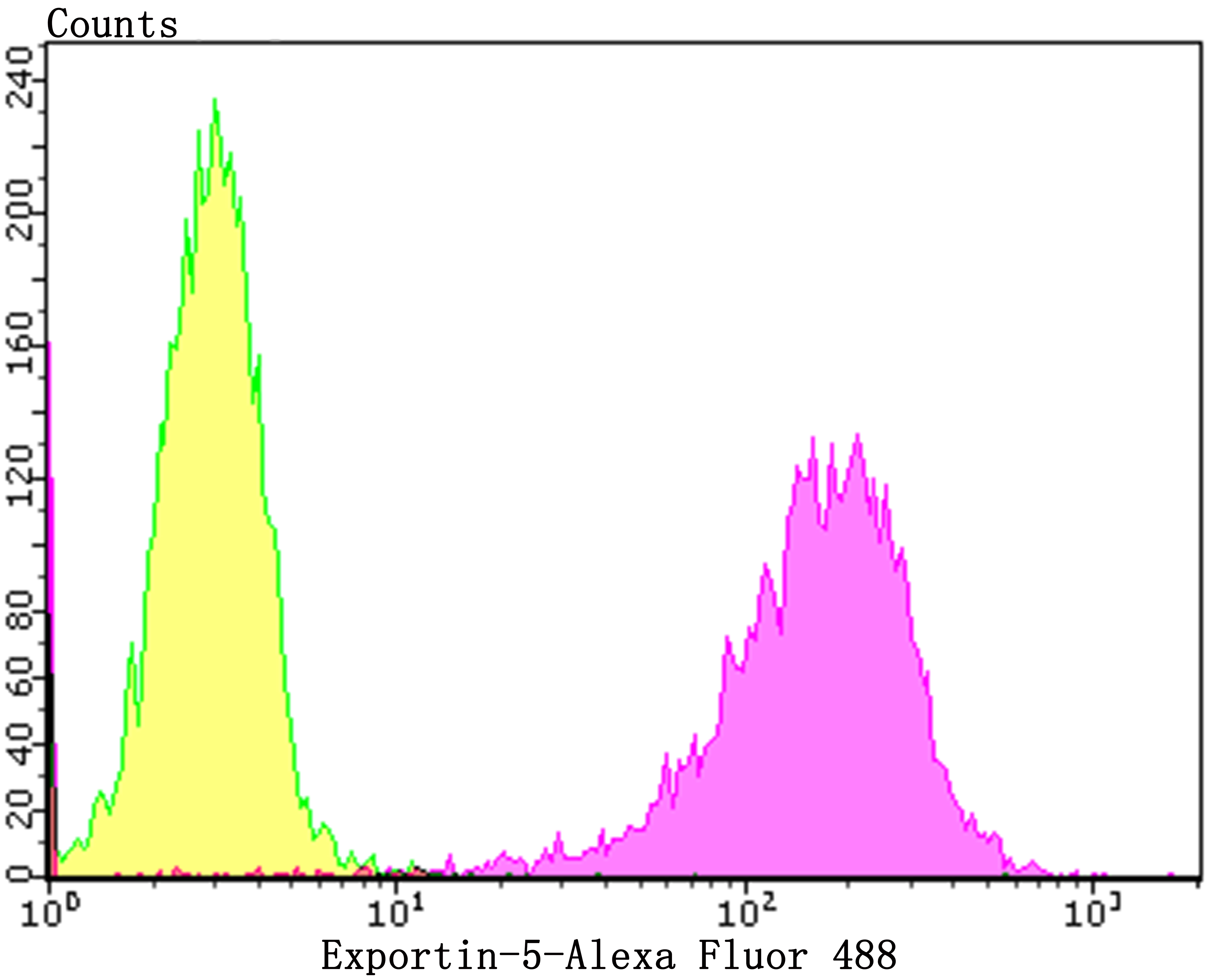 Flow cytometric analysis of K562 cells with Exportin-5 antibody at 1/100 dilution (purple) compared with an unlabelled control (cells without incubation with primary antibody; yellow).  Alexa Fluor 488-conjugated goat anti-rabbit IgG was used as the secondary antibody.