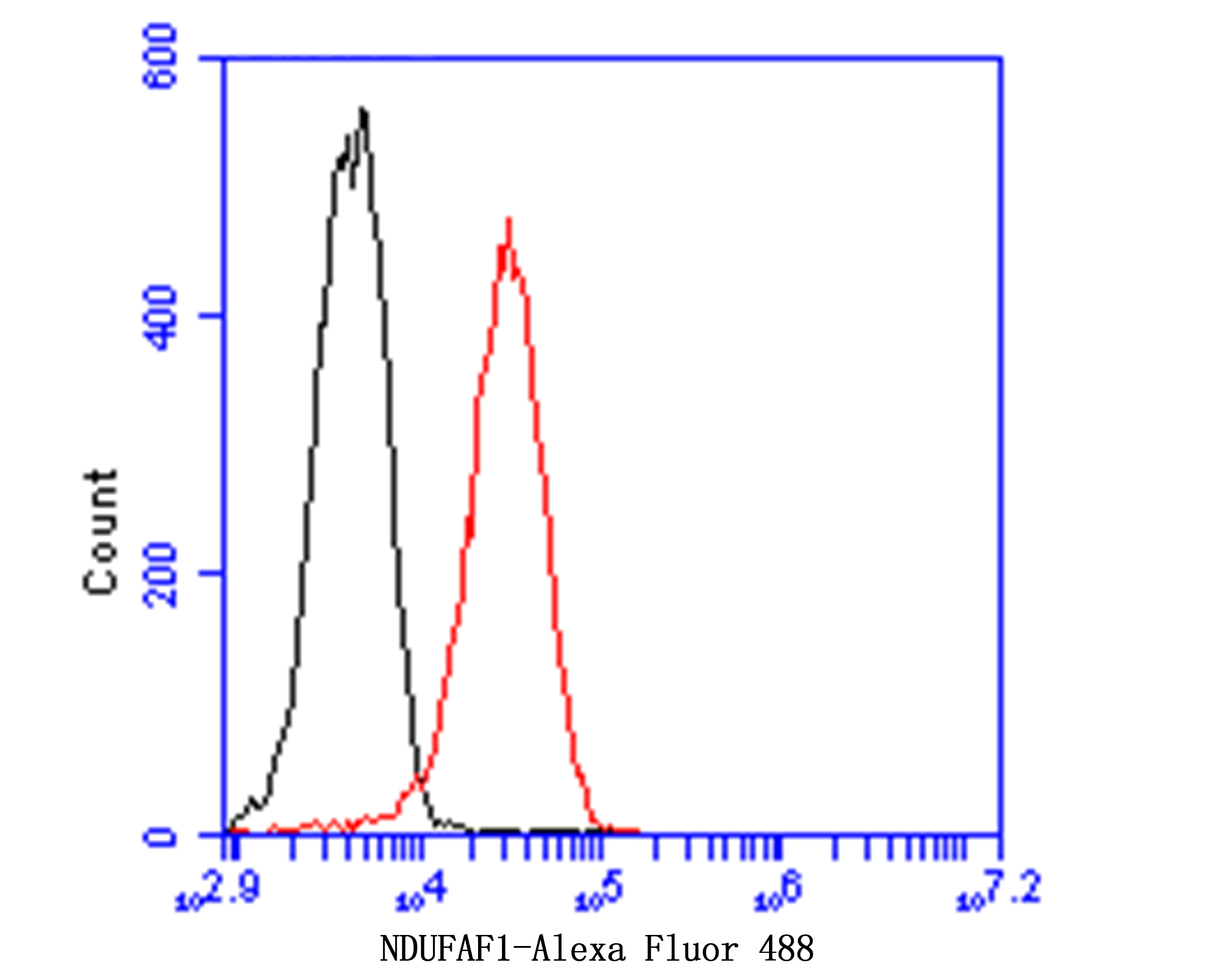 Flow cytometric analysis of NDUFAF1 was done on THP-1 cells. The cells were fixed, permeabilized and stained with NDUFAF1 antibody at 1/100 dilution (red) compared with an unlabelled control (cells without incubation with primary antibody; black). After incubation of the primary antibody on room temperature for an hour, the cells was stained with a Alexa Fluor™ 488-conjugated goat anti-rabbit IgG Secondary antibody at 1/500 dilution for 30 minutes.
