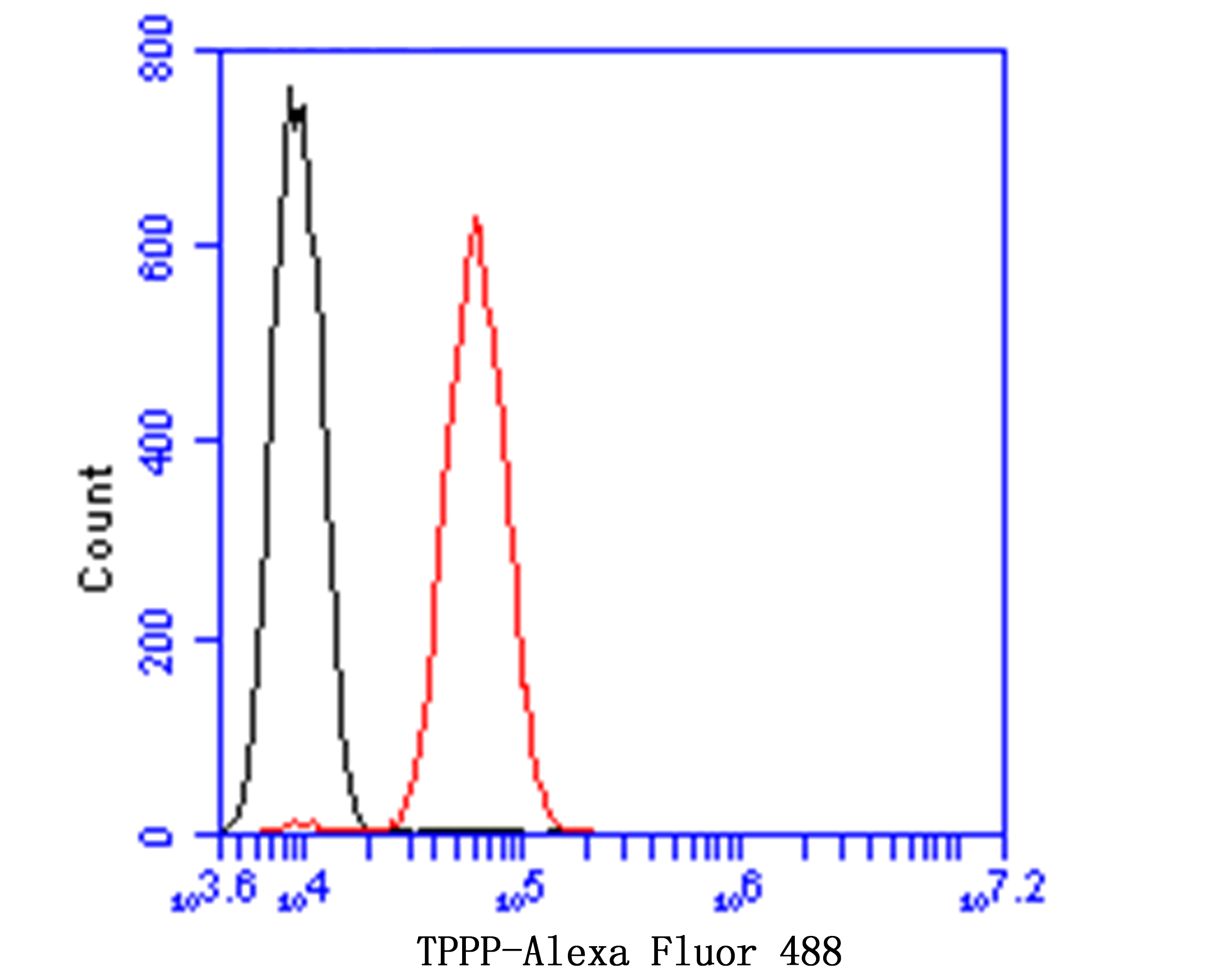 Flow cytometric analysis of TPPP was done on SHG-44 cells. The cells were fixed, permeabilized and stained with the primary antibody (ET7109-56, 1/100) (red). After incubation of the primary antibody at room temperature for an hour, the cells were stained with a Alexa Fluor 488-conjugated goat anti-rabbit IgG Secondary antibody at 1/500 dilution for 30 minutes. Unlabelled sample was used as a control (cells without incubation with primary antibody; blue).