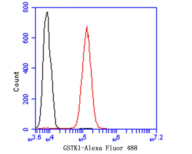 Flow cytometric analysis of GSTK1 was done on SiHa cells. The cells were fixed, permeabilized and stained with the primary antibody (ET7109-58, 1/100) (red). After incubation of the primary antibody at room temperature for an hour, the cells were stained with a Alexa Fluor 488-conjugated goat anti-rabbit IgG Secondary antibody at 1/500 dilution for 30 minutes.Unlabelled sample was used as a control (cells without incubation with primary antibody; black).