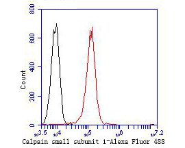 Flow cytometric analysis of Calpain small subunit 1 was done on A549 cells. The cells were fixed, permeabilized and stained with the primary antibody (ET7109-66, 1/50) (red). After incubation of the primary antibody at room temperature for an hour, the cells were stained with a Alexa Fluor 488-conjugated Goat anti-Rabbit IgG Secondary antibody at 1/1000 dilution for 30 minutes.Unlabelled sample was used as a control (cells without incubation with primary antibody; black).