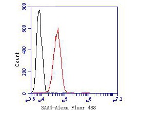 Flow cytometric analysis of SAA4 was done on SiHa cells. The cells were fixed, permeabilized and stained with the primary antibody (ET7109-69, 1/50) (red). After incubation of the primary antibody at room temperature for an hour, the cells were stained with a Alexa Fluor 488-conjugated Goat anti-Rabbit IgG Secondary antibody at 1/1000 dilution for 30 minutes.Unlabelled sample was used as a control (cells without incubation with primary antibody; black).