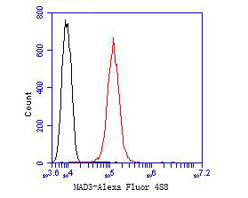 Flow cytometric analysis of MAD3 was done on SHG-44 cells. The cells were fixed, permeabilized and stained with the primary antibody (ET7109-76, 1/50) (red). After incubation of the primary antibody at room temperature for an hour, the cells were stained with a Alexa Fluor 488-conjugated Goat anti-Rabbit IgG Secondary antibody at 1/1000 dilution for 30 minutes.Unlabelled sample was used as a control (cells without incubation with primary antibody; black).
