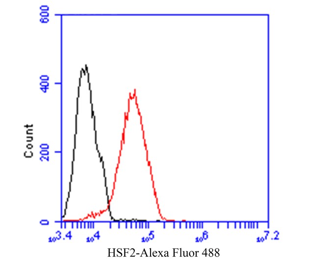 Flow cytometric analysis of HSF2 was done on 293 cells. The cells were fixed, permeabilized and stained with Carcino Embryonic Antigen CEA antibody at 1/100 dilution (red) compared with an unlabelled control (cells without incubation with primary antibody; black). After incubation of the primary antibody on room temperature for an hour, the cells was stained with a Alexa Fluor™ 488-conjugated goat anti-rabbit IgG Secondary antibody at 1/500 dilution for 30 minutes.