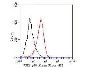 Flow cytometric analysis of RSK1 p90 was done on F9 cells. The cells were fixed, permeabilized and stained with the primary antibody (ET7109-83, 1/50) (red). After incubation of the primary antibody at room temperature for an hour, the cells were stained with a Alexa Fluor 488-conjugated Goat anti-Rabbit IgG Secondary antibody at 1/1,000 dilution for 30 minutes.Unlabelled sample was used as a control (cells without incubation with primary antibody; black).