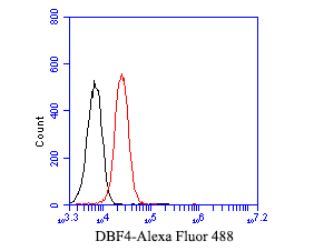 Flow cytometric analysis of DBF4 was done on F9 cells. The cells were fixed, permeabilized and stained with the primary antibody (ET7110-31, 1/50) (red). After incubation of the primary antibody at room temperature for an hour, the cells were stained with a Alexa Fluor 488-conjugated Goat anti-Rabbit IgG Secondary antibody at 1/1000 dilution for 30 minutes.Unlabelled sample was used as a control (cells without incubation with primary antibody; black).