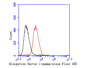 Flow cytometric analysis of Elongation factor 1-gamma was done on Daudi cells. The cells were fixed, permeabilized and stained with the primary antibody (ET7110-45, 1/50) (red). After incubation of the primary antibody at room temperature for an hour, the cells were stained with a Alexa Fluor 488-conjugated Goat anti-Rabbit IgG Secondary antibody at 1/1000 dilution for 30 minutes.Unlabelled sample was used as a control (cells without incubation with primary antibody; black).