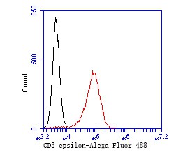 Flow cytometric analysis of CD3 epsilon was done on Jurkat cells. The cells were fixed, permeabilized and stained with the primary antibody (ET7110-63, 1/50) (red). After incubation of the primary antibody at room temperature for an hour, the cells were stained with a Alexa Fluor 488-conjugated Goat anti-Rabbit IgG Secondary antibody at 1/1000 dilution for 30 minutes.Unlabelled sample was used as a control (cells without incubation with primary antibody; black).
