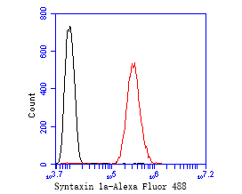 Flow cytometric analysis of Syntaxin 1a was done on SH-SY5Y cells. The cells were fixed, permeabilized and stained with the primary antibody (ET7110-68, 1/50) (red). After incubation of the primary antibody at room temperature for an hour, the cells were stained with a Alexa Fluor 488-conjugated Goat anti-Rabbit IgG Secondary antibody at 1/1000 dilution for 30 minutes.Unlabelled sample was used as a control (cells without incubation with primary antibody; black).