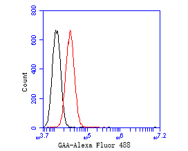 Flow cytometric analysis of GAA was done on HepG2 cells. The cells were fixed, permeabilized and stained with the primary antibody (ET7110-77, 1/50) (red). After incubation of the primary antibody at room temperature for an hour, the cells were stained with a Alexa Fluor 488-conjugated Goat anti-Rabbit IgG Secondary antibody at 1/1000 dilution for 30 minutes.Unlabelled sample was used as a control (cells without incubation with primary antibody; black).