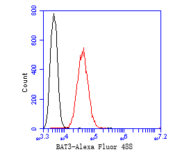 Flow cytometric analysis of BAT3 was done on SW620 cells. The cells were fixed, permeabilized and stained with the primary antibody (ET7110-88, 1/50) (red). After incubation of the primary antibody at room temperature for an hour, the cells were stained with a Alexa Fluor 488-conjugated Goat anti-Rabbit IgG Secondary antibody at 1/1000 dilution for 30 minutes.Unlabelled sample was used as a control (cells without incubation with primary antibody; black).