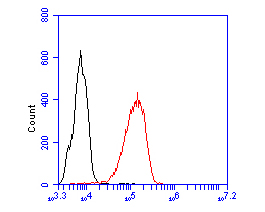 Flow cytometric analysis of PEX19 was done on THP-1 cells. The cells were fixed, permeabilized and stained with the primary antibody (ET7110-89, 1/100) (red). After incubation of the primary antibody at room temperature for an hour, the cells were stained with a Alexa Fluor 488-conjugated goat anti-rabbit IgG Secondary antibody at 1/500 dilution for 30 minutes.Unlabelled sample was used as a control (cells without incubation with primary antibody; black).